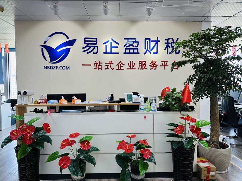 选择税务筹划服务：一份专业选购指南